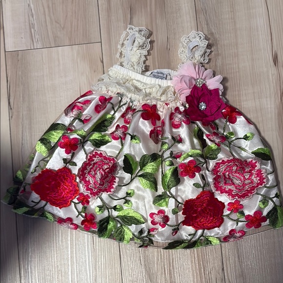 Other - Like New Baby’s in Bloom Floral Dress Size 6m